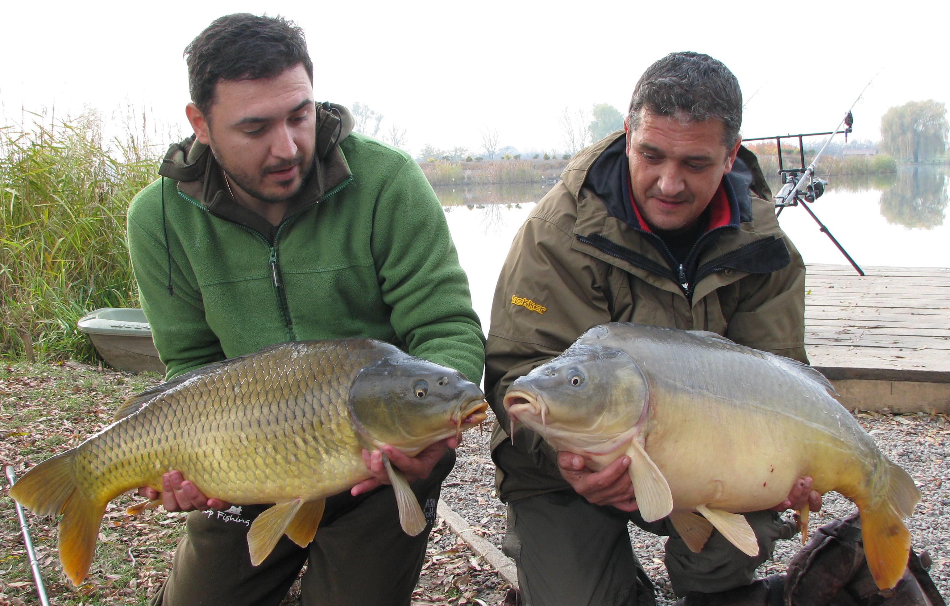 capturi - IMG_2764.JPG